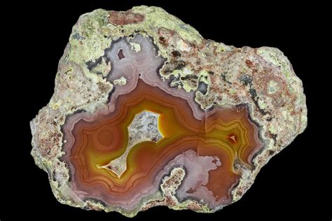 3.6" Cut & Polished Banded Laguna Agate - Mexico For Sale (#114958) - FossilEra.com