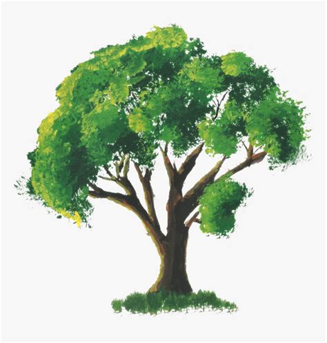 Tree Drawing With Color Png, Transparent Png , Transparent Png Image - PNGitem