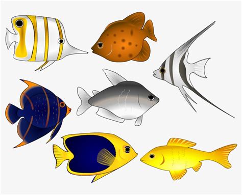 Fish Vector Art Clipart - Coral Reef Fish - 800x600 PNG Download - PNGkit