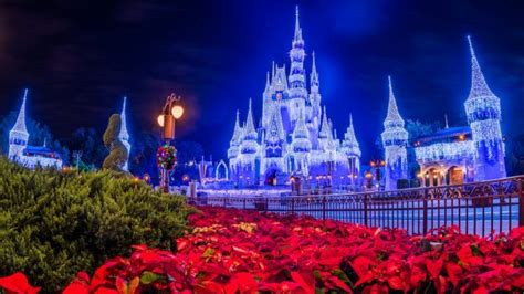 First Look as Cinderella Castle Christmas Decorations Begin to Appear - Inside the Magic