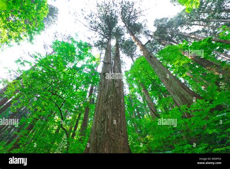 Akita Prefecture, Japan Stock Photo - Alamy