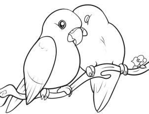 how to draw lovebirds step 10 | Love birds drawing, Bird drawings, Bird ...