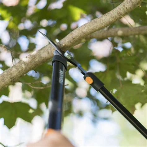 The Best Loppers for Pruning Trees and Shrubs | Leading Lifestyle