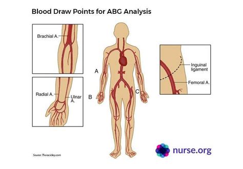 Arterial Blood Gas (ABG) Analysis | Values & Interpretation