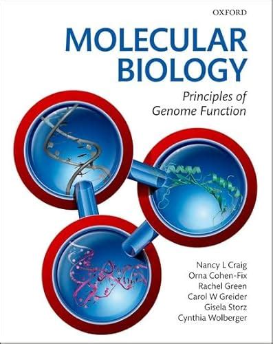 Molecular Biology: Principles of Genome Function - Rachel Green Gisela Storz Cynthia Wolberger ...