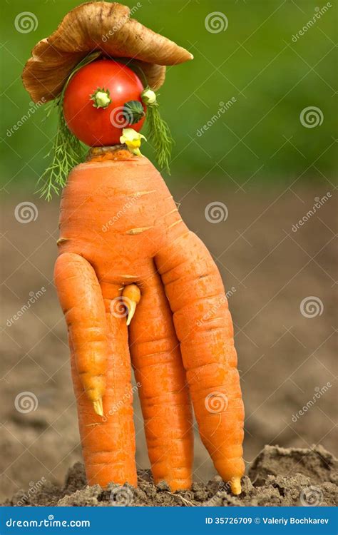 Strange carrot stock image. Image of bizarre, male, penis - 35726709