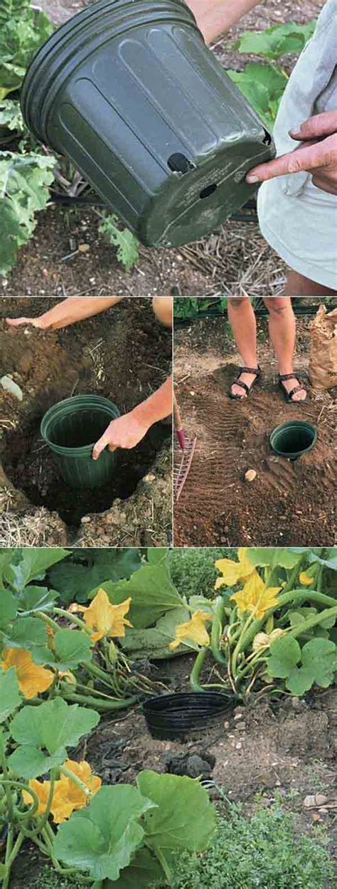 Top 24 Incredibly Clever Gardening Tricks For Your Garden ~ ScaniaZ