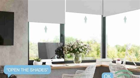 Automatic Blackout Roller Shade Review - Window Shades