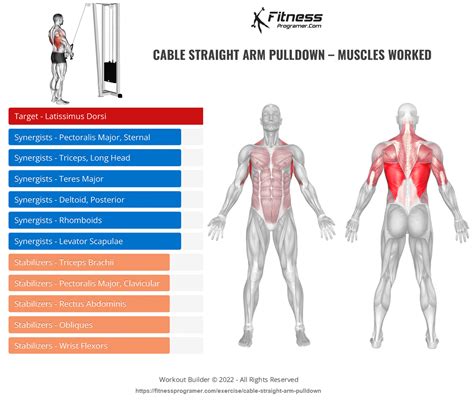 Tricep Pulldown Diagram