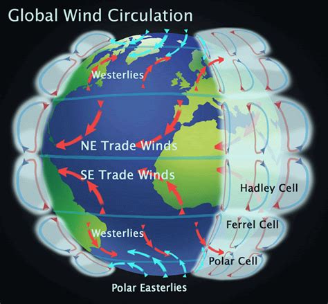 Weather In Europe, Weather And Climate, Flood In China, Polar Air, Atmospheric Circulation, Cell ...