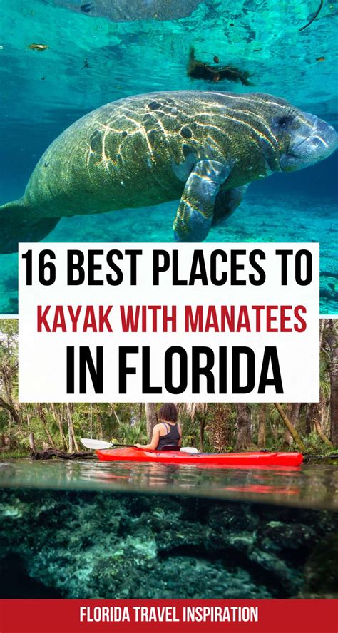 16 Best Places to See and Kayak with Manatees in Florida (+Practical ...