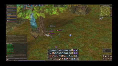 Lineage 2 classic.club - PvP Enchanted Valley - YouTube