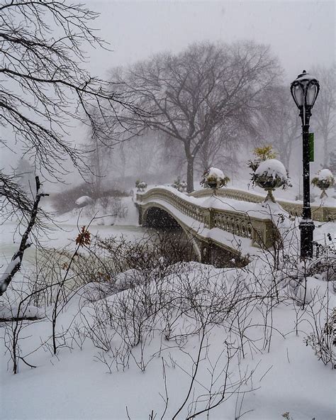 Bow Bridge, Central Park by @EricEDunn | Winter scenes, Winter scenery ...