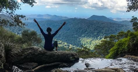 Springbrook National Park and Tamborine Rainforest Day Tour | GetYourGuide