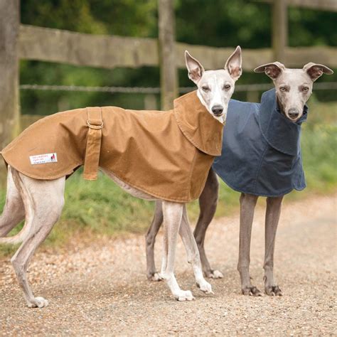 Whippet Coat for sale in UK | 64 used Whippet Coats