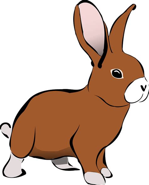 Brown rabbit clipart. Free download transparent .PNG | Creazilla