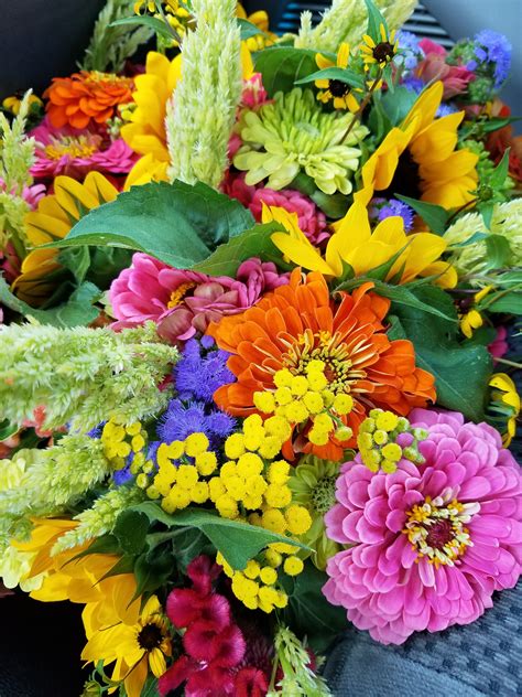 Fresh Cut Flowers Singapore / How to Care For Fresh Cut Flower ...