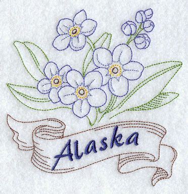 alaska state flower drawing - Kendall Wagoner