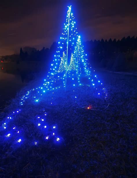 Blue Lights Christmas Tree Free Stock Photo - Public Domain Pictures