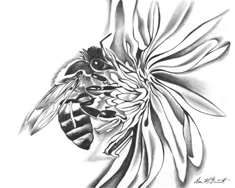 “Bee in the Garden” (Detailed Pencil Drawing) – Magniscape