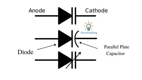 What is a Varactor Diode? | The Definitive Guide