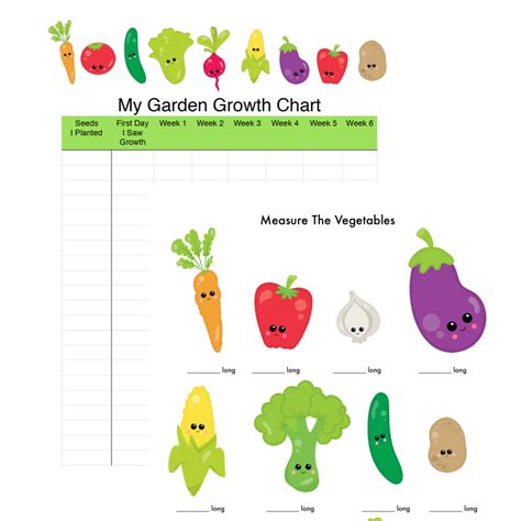 Kids Gardening Math: Growth & Measurement - Teach Beside Me