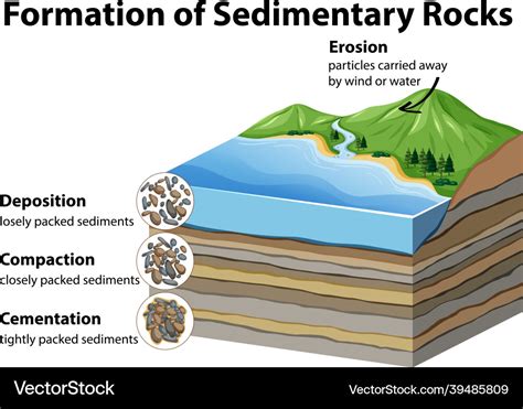 Formation of sedimentary rocks Royalty Free Vector Image