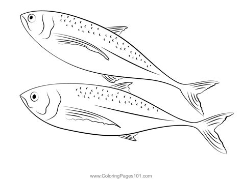 Horse Mackerel Coloring Page for Kids - Free Mackerels Printable Coloring Pages Online for Kids ...