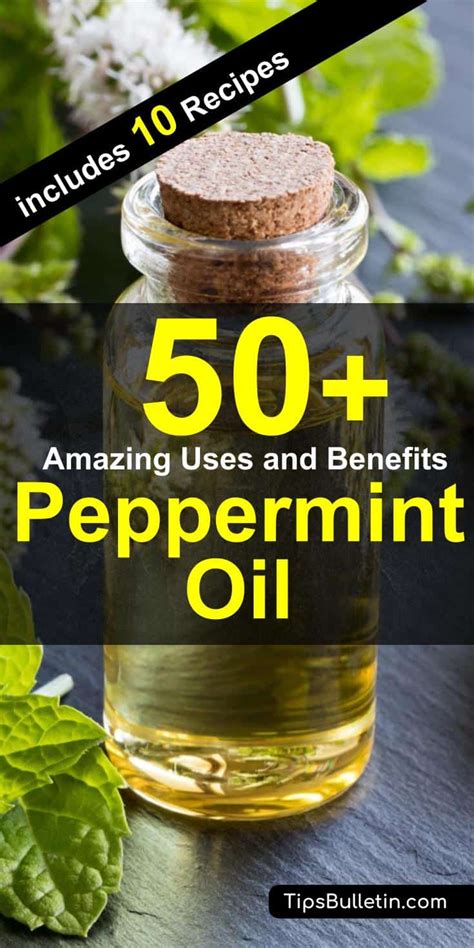 50+ Amazing Uses & Benefits of Peppermint Oil