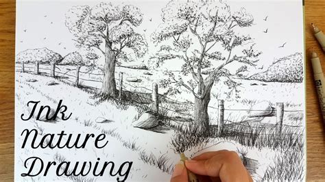 How to Draw A Nature Scenery| Pen & Ink Drawing#1 - YouTube