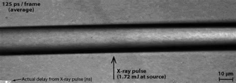 Scientists Have Created The Loudest Possible Sound Underwater ...