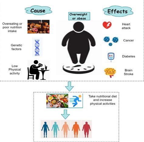 Obesity cause, effects, and prevention | Download Scientific Diagram