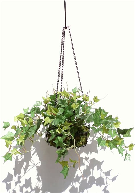 Amazon.com: English Ivy in Hanging Ironware Basket , Artificial Plant ...