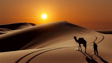 Sahara Desert Wallpaper 4k