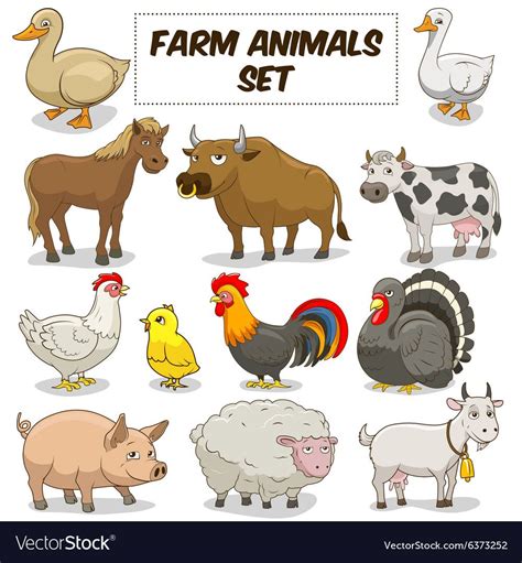 Farm Animals Cartoon Pictures - Animals World