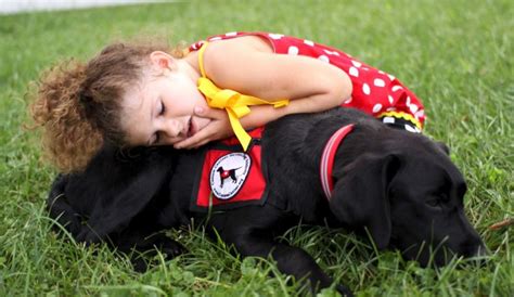 20 Dog Breeds Perfect for Autistic Children