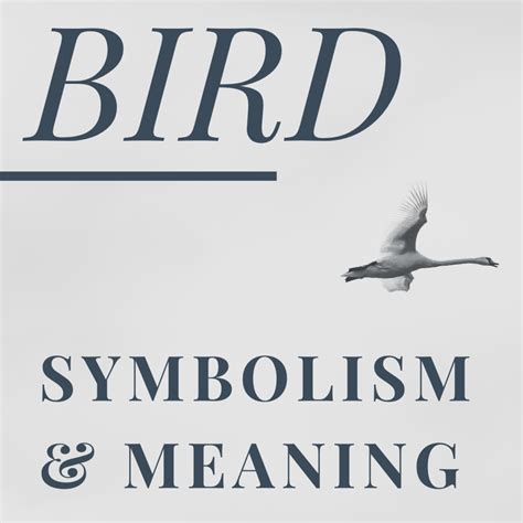 Bird Symbolism, Spiritual Meanings, and Omens Explained - Exemplore