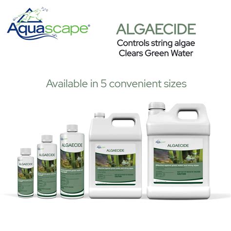 Best Pond Algaecide and Algae Killer 2024 (Updated)