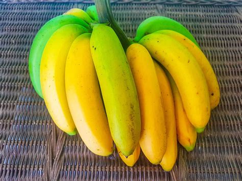 Is Banana a Fruit or Vegetable? Here’s Why - A-Z Animals