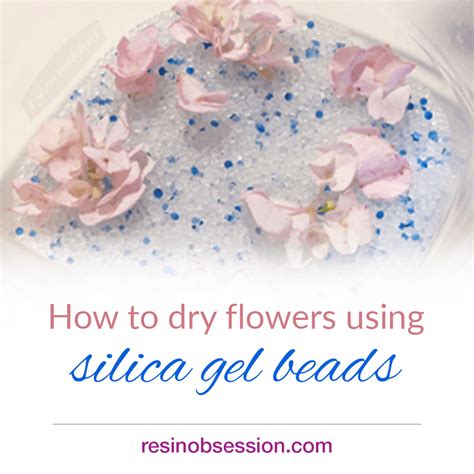 Drying Flowers With Silica Gel In Microwave / Wisedry Silica Gel Silica ...