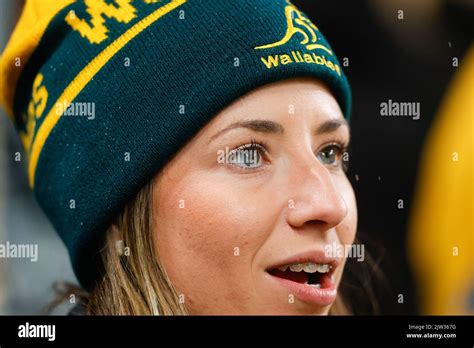 Springbok rugby fans stadium hi-res stock photography and images - Alamy