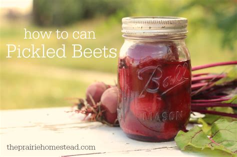 Canning and Pickling Beets - 6 Recipes Worth Trying