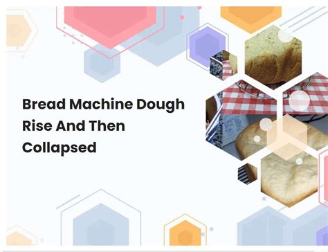 Bread Machine Dough Rise And Then Collapsed | breadmach.com