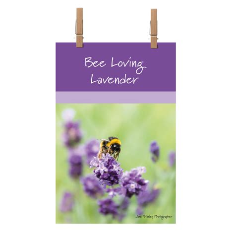 Bee Loving Lavender Tea Towel – Garden Wildlife