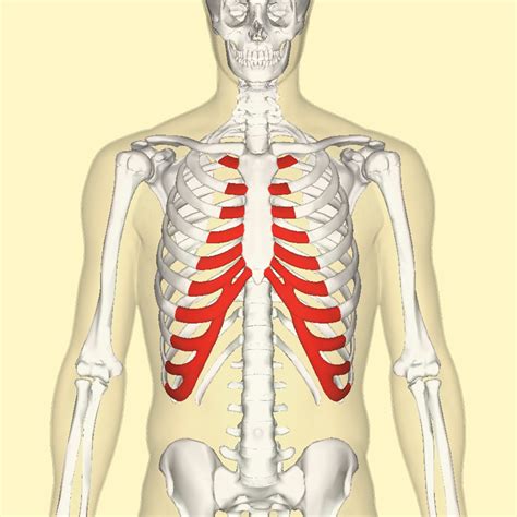 Costochondritis - Feels Like a Heart Attack But It's Not | HealDove