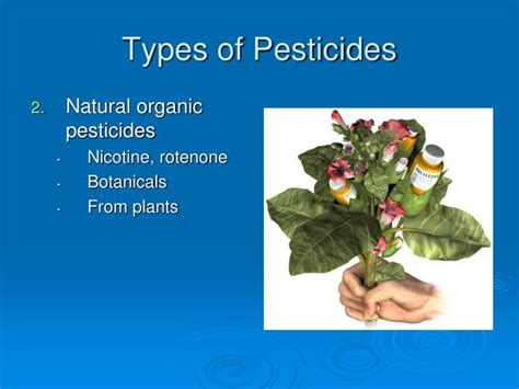 PPT - Pest Control PowerPoint Presentation - ID:2396407