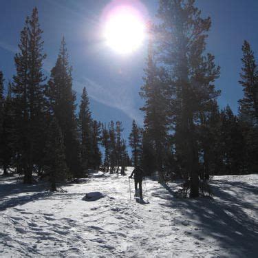 Tahoe Meadows Snow Play Area - Snowshoeing, Sledding