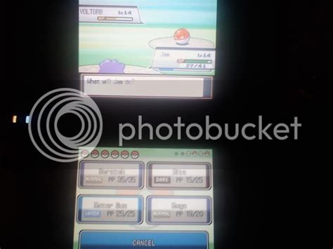 a glitch with ditto? - Pokémon SoulSilver Version Forum - Neoseeker Forums