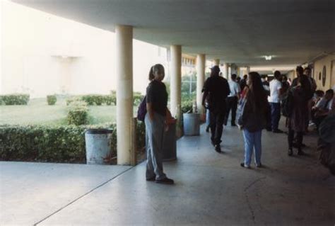 Miami Beach High School - Find Alumni, Yearbooks and Reunion Plans