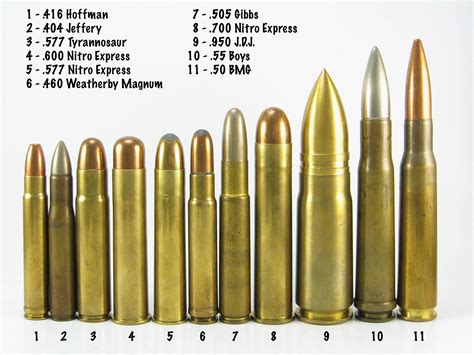 Shooting the largest caliber center fire rifle ever made. (.950 JDJ ...